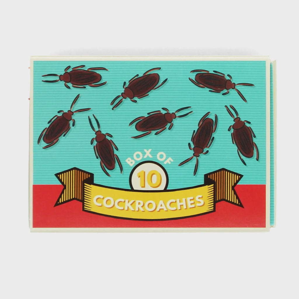 Box of 10 Cockroaches| Rex London|  Long Way Home