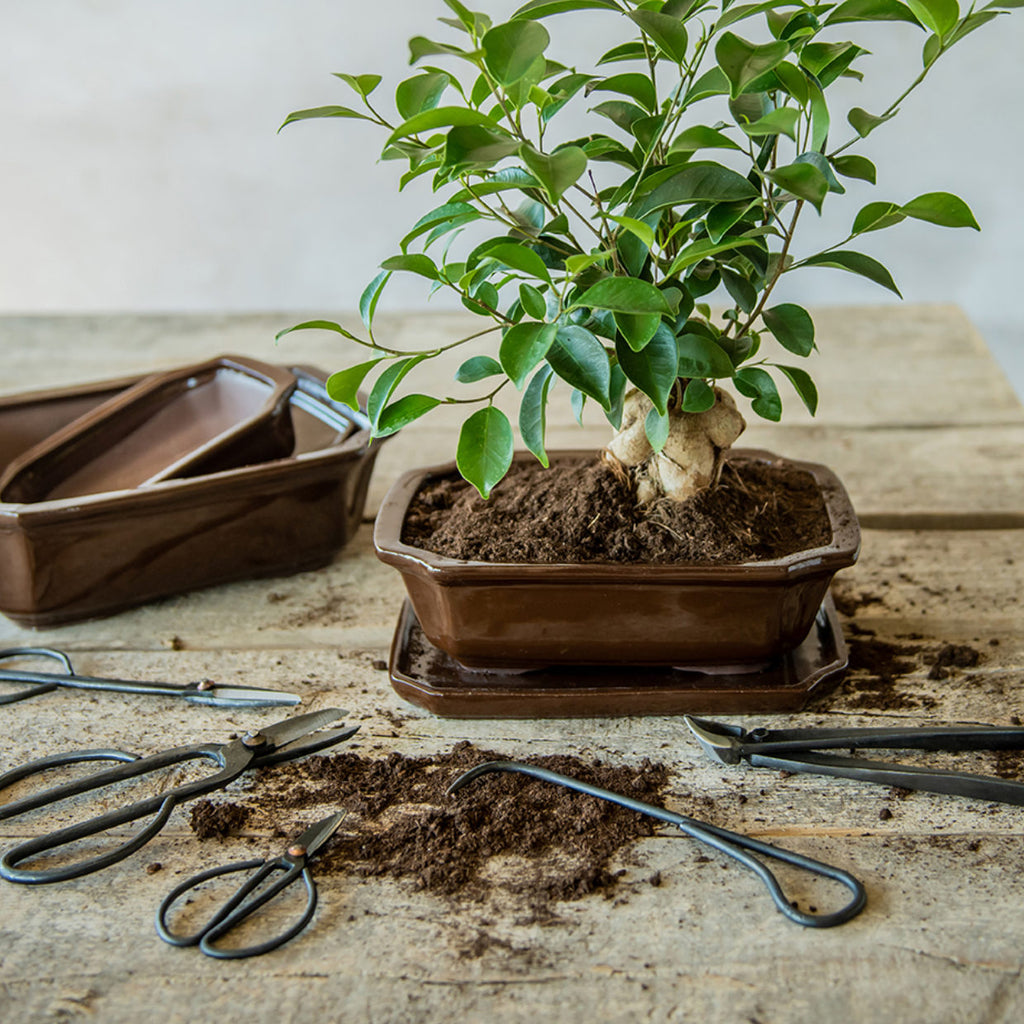 Esschert Design | Bonsai Shears - Long Way Home