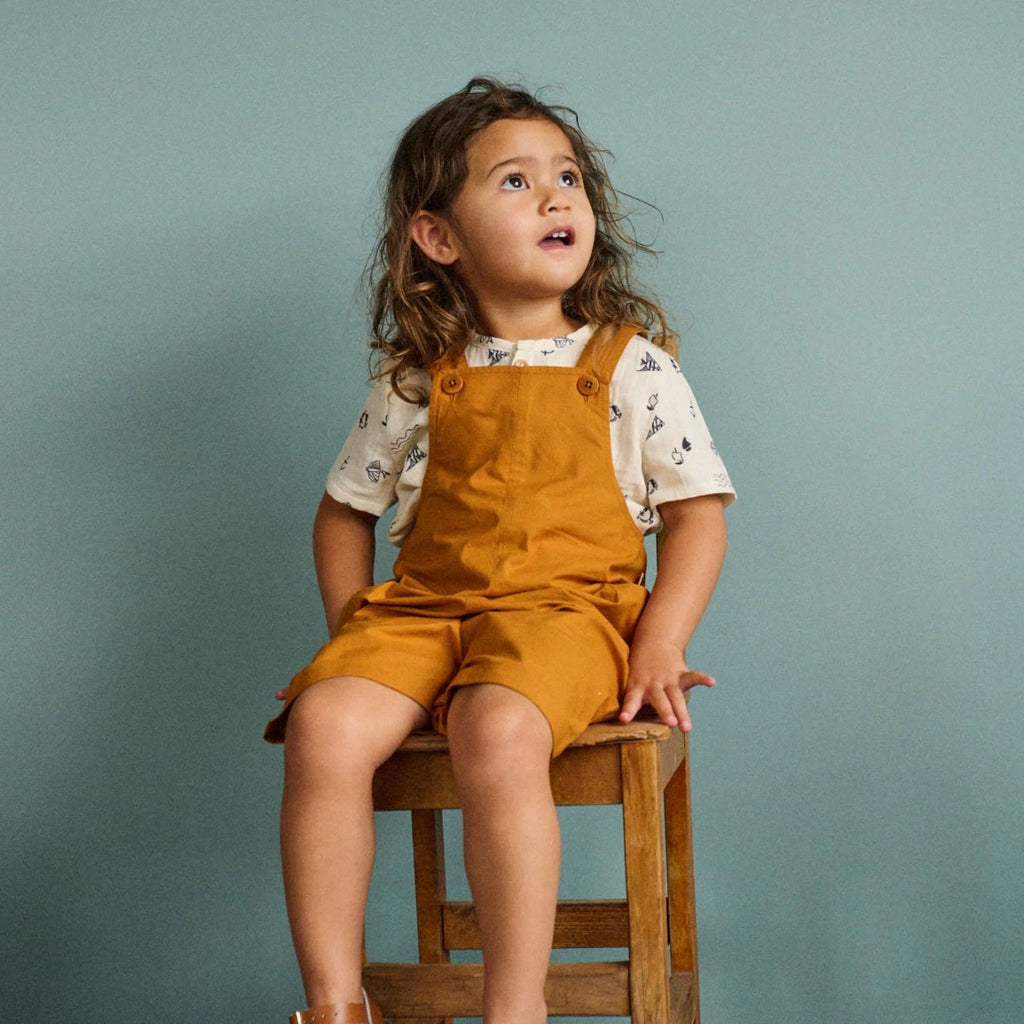 Nature Baby | Tucker Shortie Overalls - Long Way Home