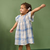 Nature Baby | Bonnie Dress Linen | Clyde Check - Long Way Home