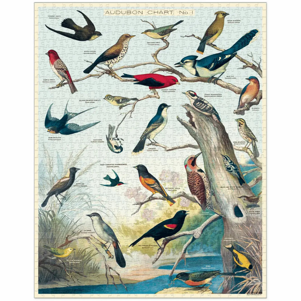 Audubon Birds 1000 Piece Vintage Puzzle Cavallini & Co Long Way Home