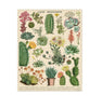 Cacti & Succulents 1000 Piece Vintage Puzzle Cavallini & Co Long Way Home