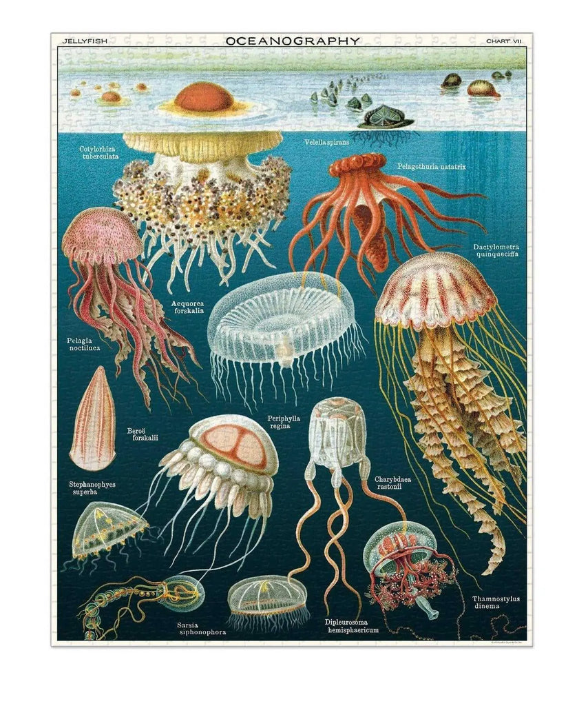 Jellyfish 1000 Piece Vintage Puzzle Cavallini & Co Long Way Home