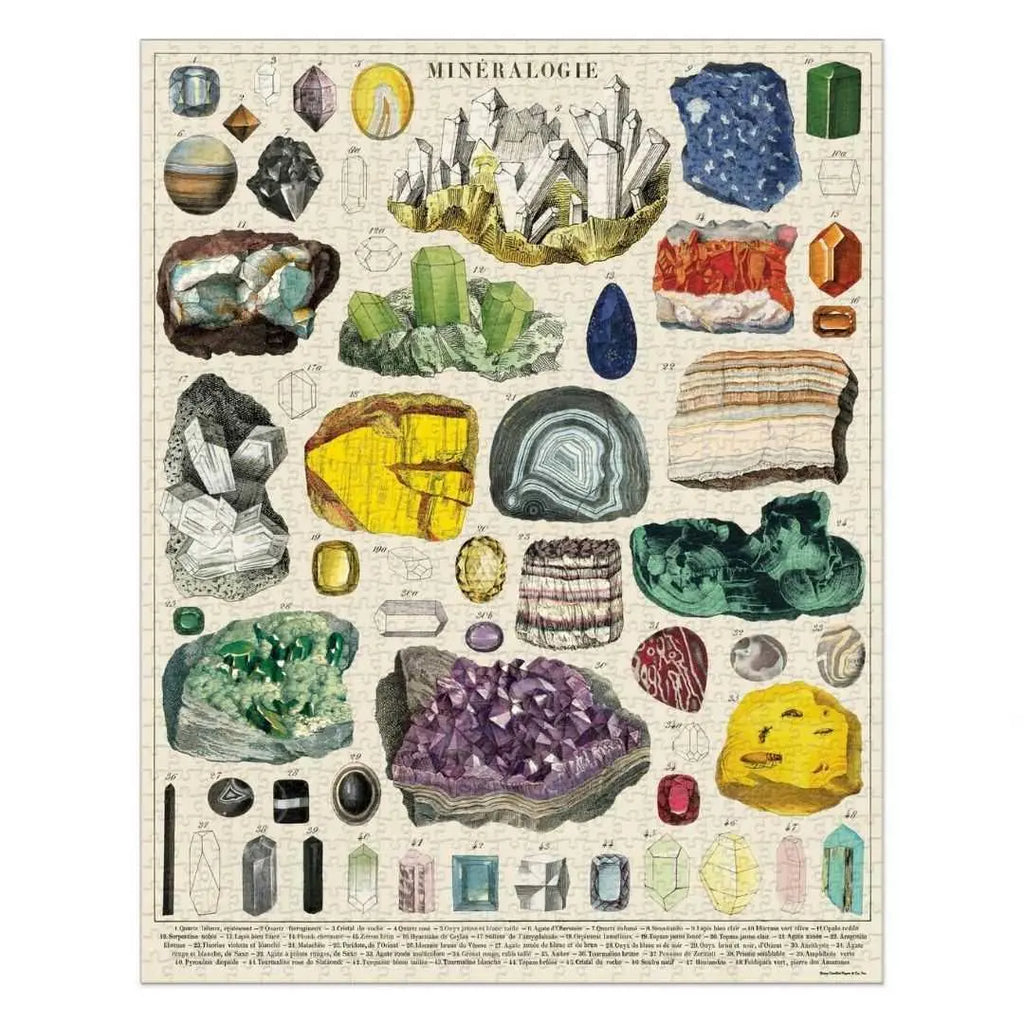 Mineralogy 1000 Piece Vintage Puzzle Cavallini & Co Long Way Home