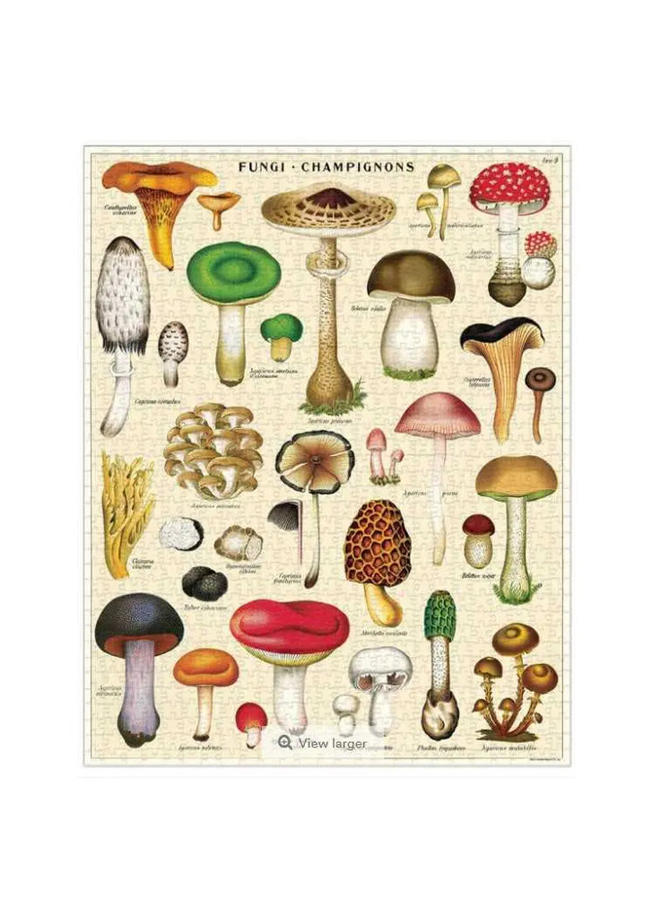 Mushrooms 1000 Piece Vintage Puzzle Cavallini & Co Long Way Home