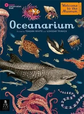 Oceanarium Big Picture Press Long Way Home