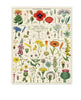 Wildflowers 1000 Piece Vintage Puzzle Cavallini & Co Long Way Home